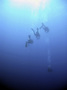 Into the Blue.jpg